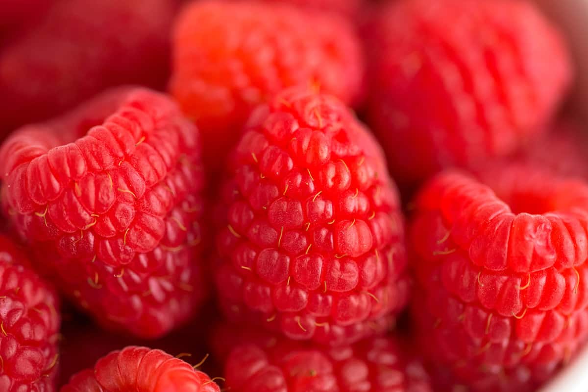 新鲜覆盆子的特写。